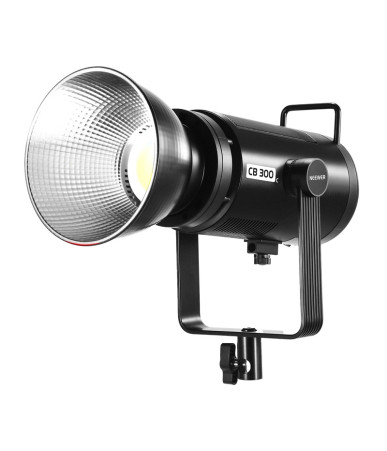 Neewer CB300C RGB LED Luce Video 300W Bowens Mount