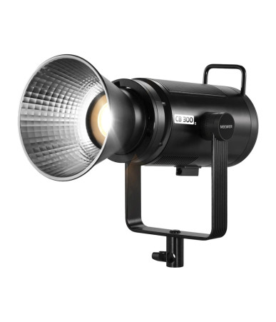 Neewer CB300B BiColor LED Light 320W