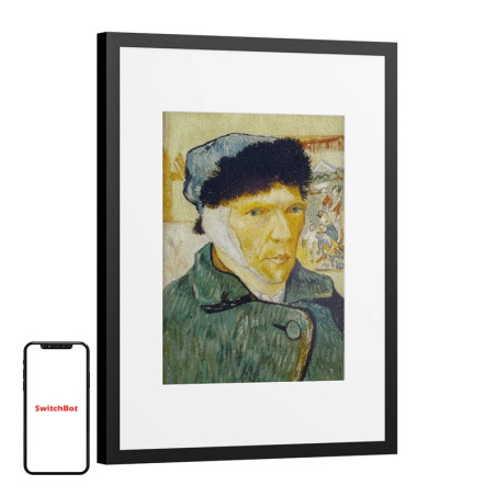 SwitchBot AI Art Frame 13.3" Cornice Digitale E-Ink