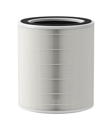 Filtro Ricambio Dreame AP10 DVJ1
