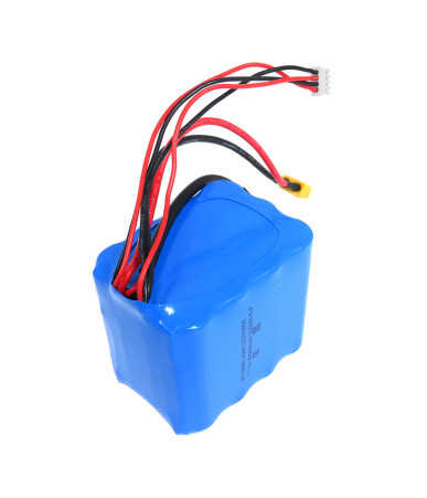 Batteria Flytec 20000 mAh per V030 / V080