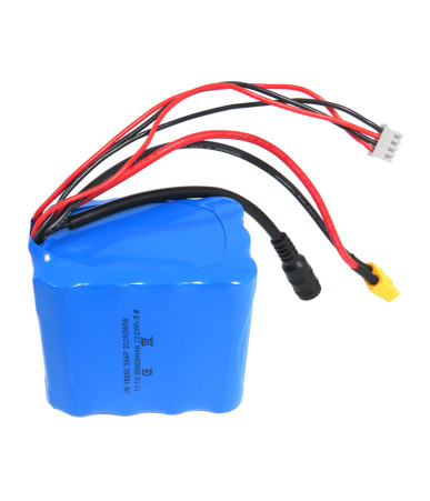 Batteria Flytec 20000 mAh per V030 / V080