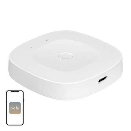 Moes Hub Smart Home ZigBee/Ethernet ZHUB-C