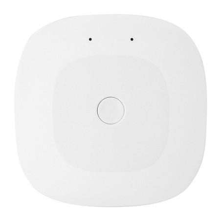 Moes Hub Smart Home ZigBee/Ethernet ZHUB-C
