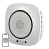 Moes Rilevatore Monossido di Carbonio Smart Wi-Fi WSS-CO-EU-EN