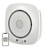Moes Rilevatore Gas Wi-Fi Smart WSS-S-GL-EU-EN