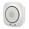 Moes Rilevatore Gas Wi-Fi Smart WSS-S-GL-EU-EN