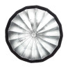 Godox AD-S85S Softbox Parabolico 85cm Argento/Oro