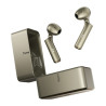 Auricolari Bluetooth TWS Timekettle W4 Plus Traduzione Oro