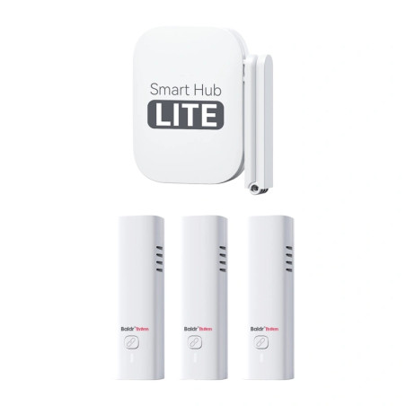 Termometro Igrometro Wi-Fi RainPoint HCS802ARF con Hub