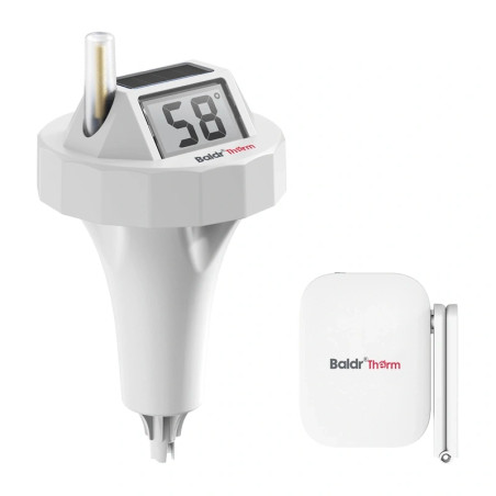 Termometro Piscina RainPoint BALDRTHERM HCS0706 con Hub Wi-Fi