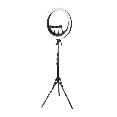 Ring light Neewer RP19H 19 pollici con 3 supporti per smartphone