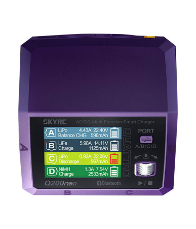Caricatore SkyRC Q200neo