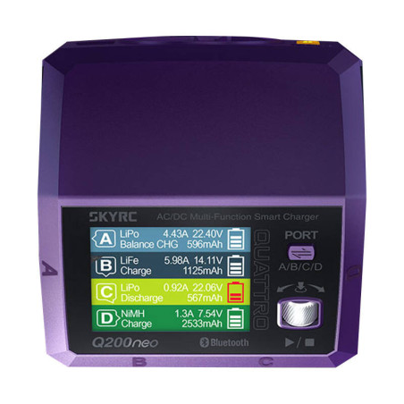 Caricatore SkyRC Q200neo