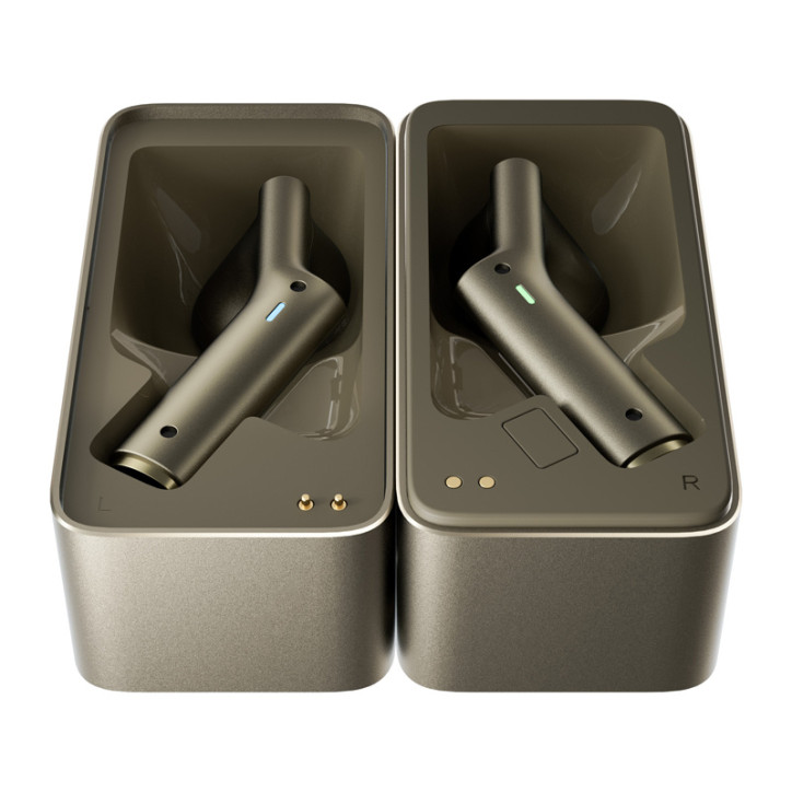 TIMEKETTLE W4 Translation Earbuds (Gold)