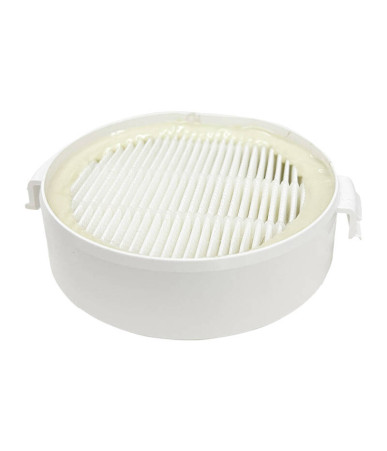 HEPA filter for INSE P20