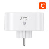 Gosund SP211 Dual Smart Plug WiFi Tuya 3500W