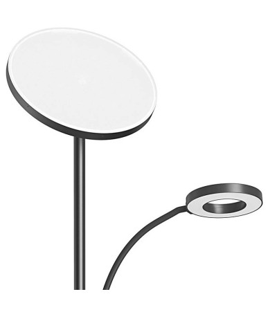 Double Floor Lamp with remote BlitzWill BWL-FL-0001, 36W (black)