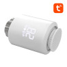 Avatto TRV06 Valvola Termostatica per Radiatore Zigbee 3.0 TUYA