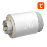 Valvola Termostatica Smart per Radiatore Avatto TRV10 Zigbee Tuya